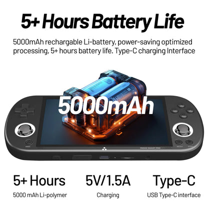 Trimui Smart Pro